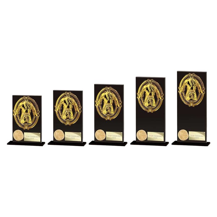 FUSION MAVERICK MARTIAL ARTS GLASS TROPHY - 5 SIZES - 12.5CM - 20CM